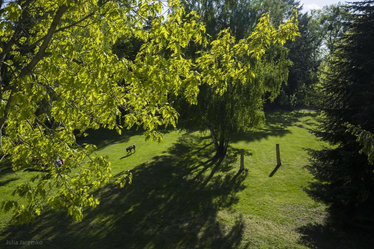 Lesne Zacisze Villa Илава Екстериор снимка